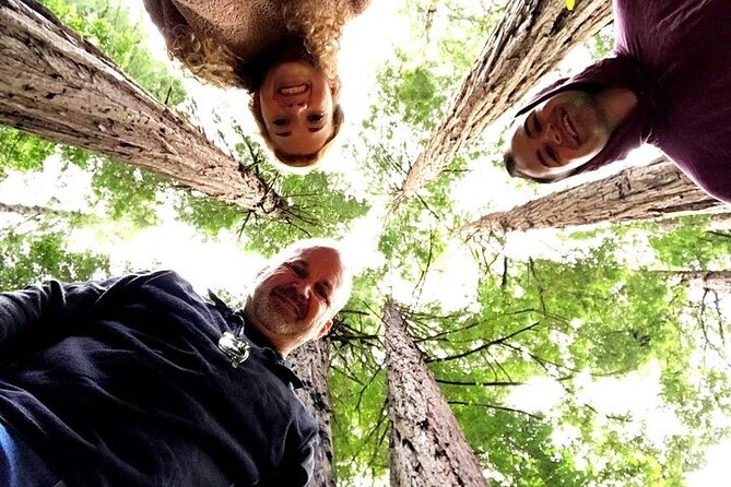 3-Hour Private Muir Giant Redwoods Trees and Sausalito Tour - Self-Guided Muir Woods Walk