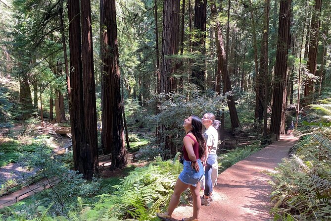 3-Hour Private Muir Giant Redwoods Trees and Sausalito Tour - Sausalito Seaside Visit