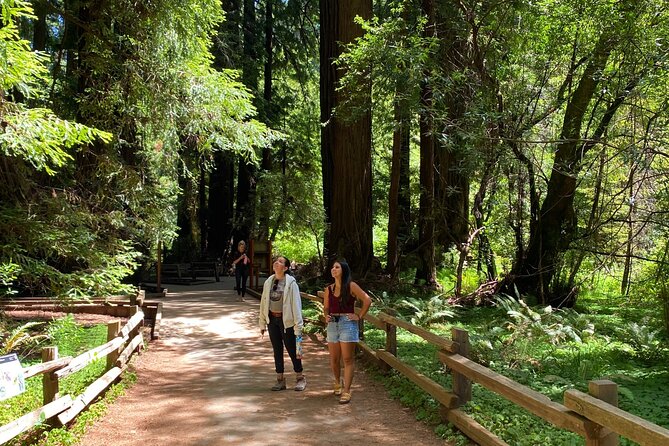 3-Hour Private Muir Giant Redwoods Trees and Sausalito Tour - Tour Capacities