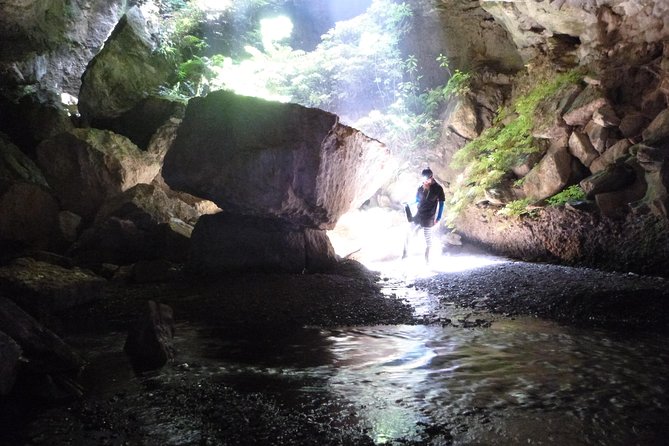 3-Hour Private Photography Tour in Waitomo Caves - About the Operator