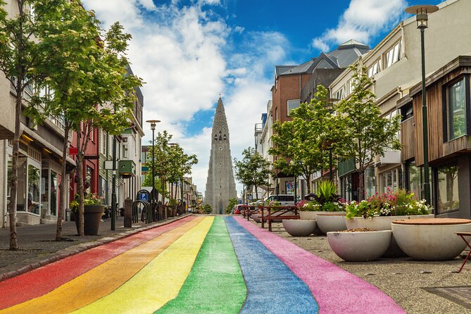 3 Hour Private Reykjavik Driving Tour - Inclusions