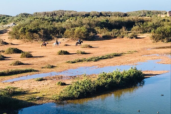 3-Hour Private Ride Between Beach and Dunes - Inclusions