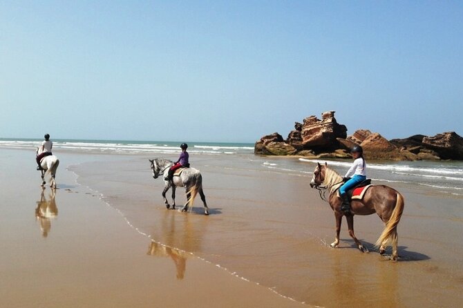 3-Hour Private Ride Between Beach and Dunes - Booking and Cancellation