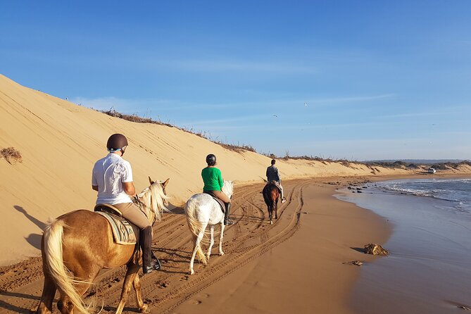 3-Hour Private Ride Between Beach and Dunes - Experience Highlights