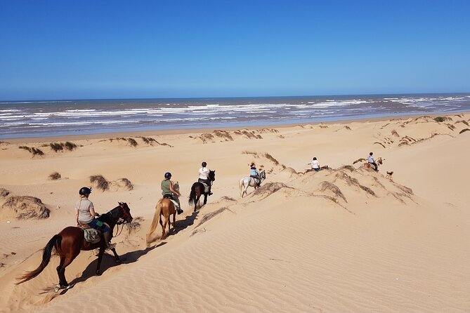 3-Hour Private Ride Between Beach and Dunes - Safety Considerations