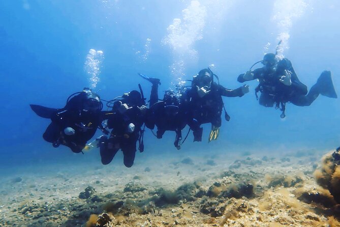3 Hour Private Scuba Diving Experience - Private Transportation and Access