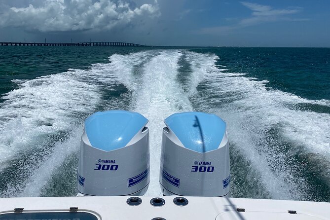 3 Hour Private Snorkeling in Marathon Florida - Pickup and Meeting Details