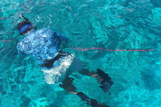 3 Hour Private Snorkeling in Marathon Florida - Health and Safety Considerations