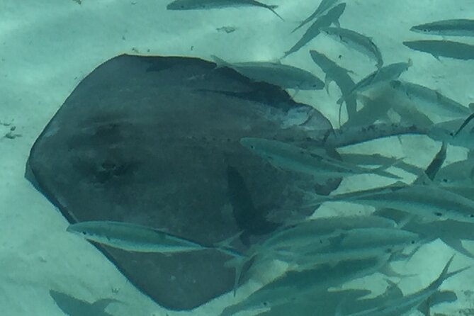 3 Hour Private Snorkeling in Marathon Florida - Cancellation Policy