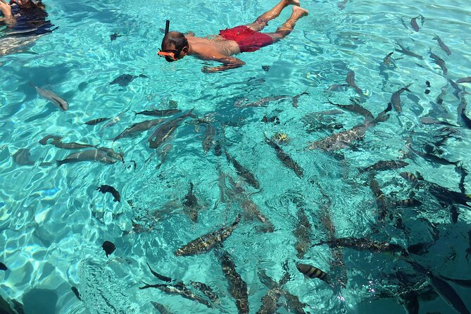3 Hour Private Snorkeling in Marathon Florida - Confirmation and Payment Options