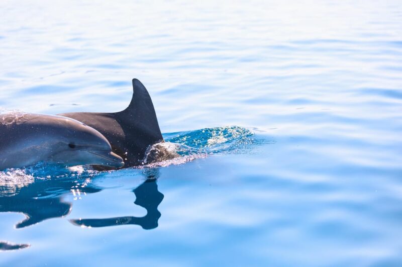 3 Hour Private Sunset Sailing Tour in Pula - Important Notes