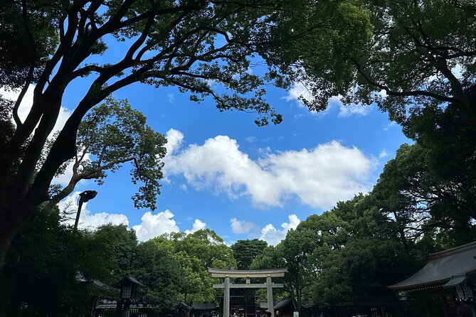 3 Hour Private Tokyo Meiji Jingu Shrine Wellness Tour - Meeting and Pickup