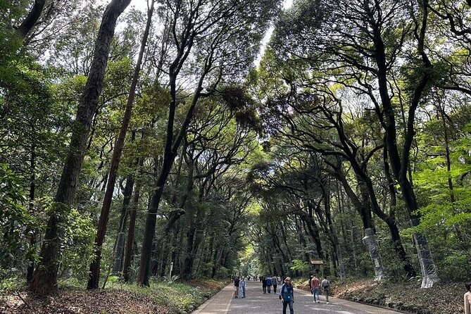 3 Hour Private Tokyo Meiji Jingu Shrine Wellness Tour - Accessibility and Restrictions