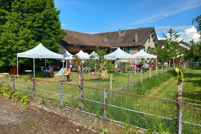 3 Hour Private Tour Countryside Vineyards With Local Wine Tasting - Experiencing Authentic Swiss Hospitality