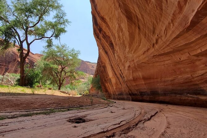 3 Hour Private Tour in Chinle - Inclusions and Accessibility