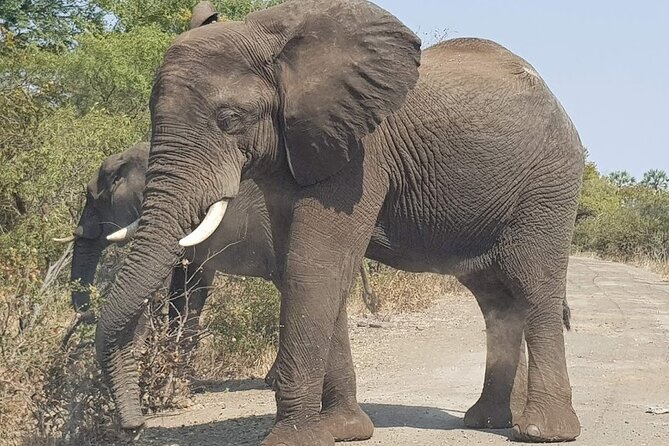 3 Hour Private Tour in Mosi-Oa-Tunya National Park - Inclusions and Exclusions