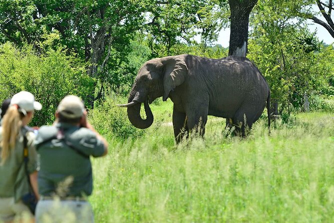 3 Hour Private Tour in Mosi-Oa-Tunya National Park - Meeting and Pickup Details