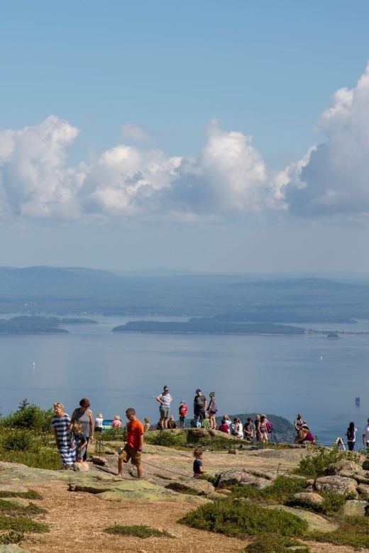 3 Hour Private Tour: Insiders Tour of Acadia National Park - Activity and Price