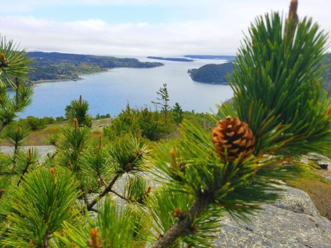 3 Hour Private Tour: Insiders Tour of Acadia National Park - Customer Feedback