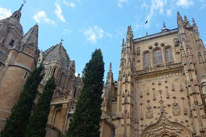 3-hour Private Tour of Salamanca - Accessibility and Participation
