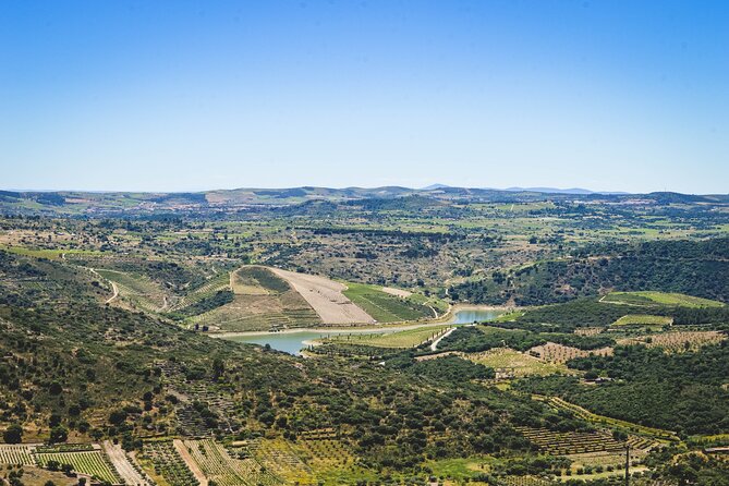 3-Hour Private Wine Tasting in Quinta Da Vineadouro With Lunch - Key Points
