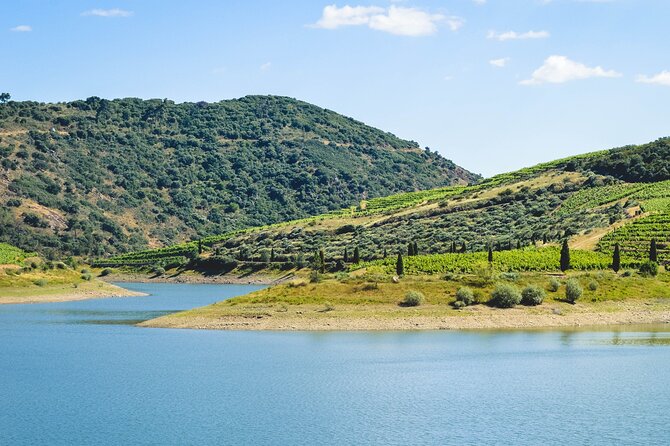 3-Hour Private Wine Tasting in Quinta Da Vineadouro With Lunch - Included Indulgences