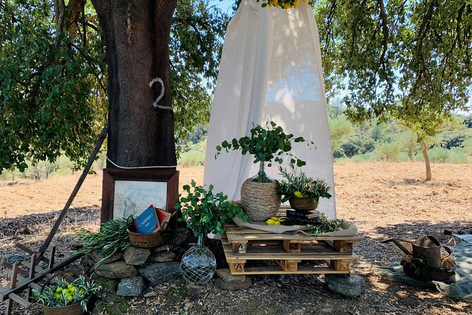 3-Hour Private Wine Tasting in Quinta Da Vineadouro With Lunch - Booking Flexibility
