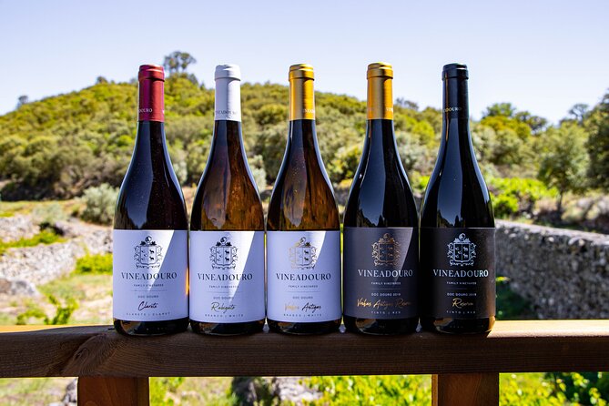 3-Hour Private Wine Tasting in Quinta Da Vineadouro With Lunch - Scenic Surroundings