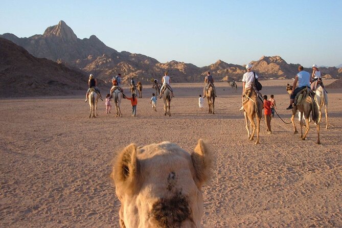 3-Hour Quad Bike Tour in Hurghada Desert - Accessibility Information