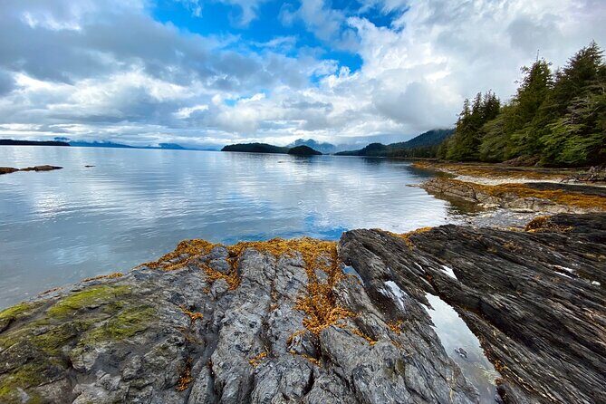 3-Hour Rainforest, Beach & Wildlife Walk - Engaging Nature in Ketchikan: A Review of the 3-Hour Rainforest, Beach & Wildlife Walk