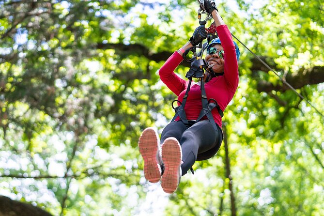 3-Hour Ropes Course & Zip Line Adventure - What to Expect on the Courses