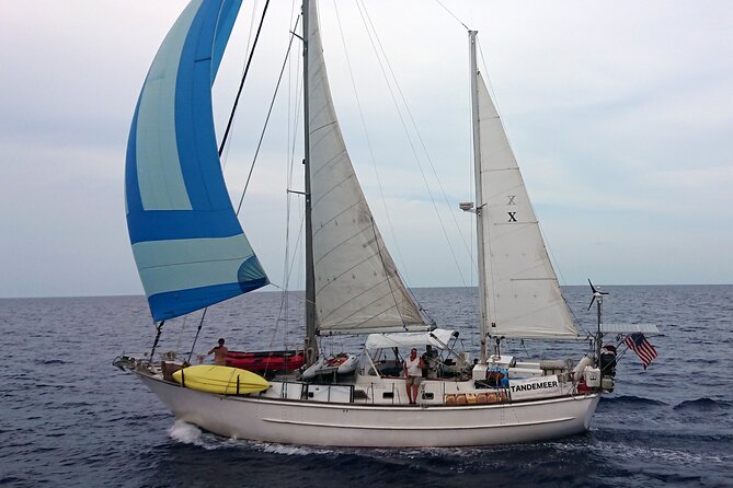 3 Hour Sailing Tour of Vineyard Haven Harbor and Sound - Key Points