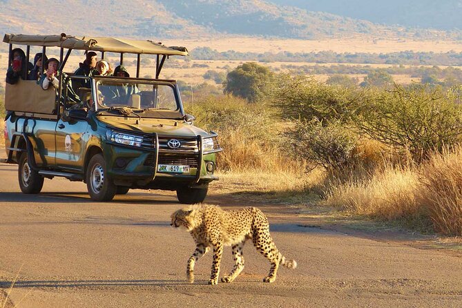 3-Hour Scheduled Safari Game Drive in Pilanesberg National Park - Maximum Number of Travelers