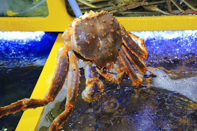3-Hour Self-Guided Sokcho Tour With Private Transportation - Participant Requirements