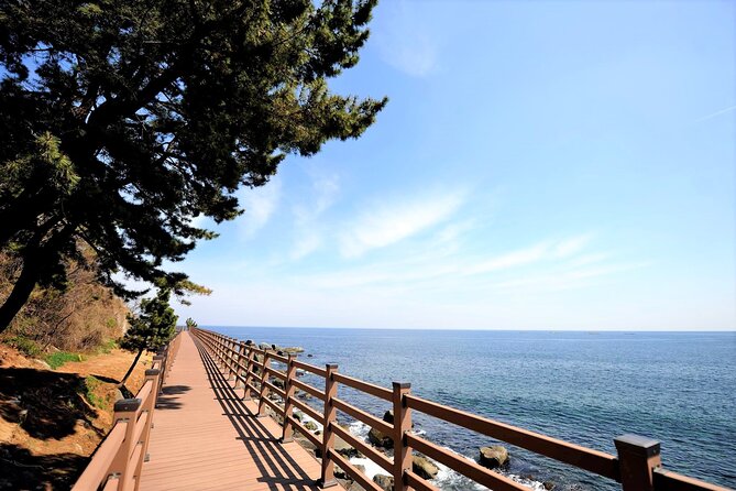 3-Hour Self-Guided Sokcho Tour With Private Transportation - Tour Details