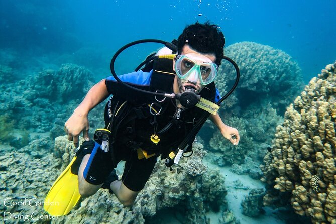 3-Hour Shore Dive or Snorkel Experiences in Aqaba - Cancellation Policy and Refunds