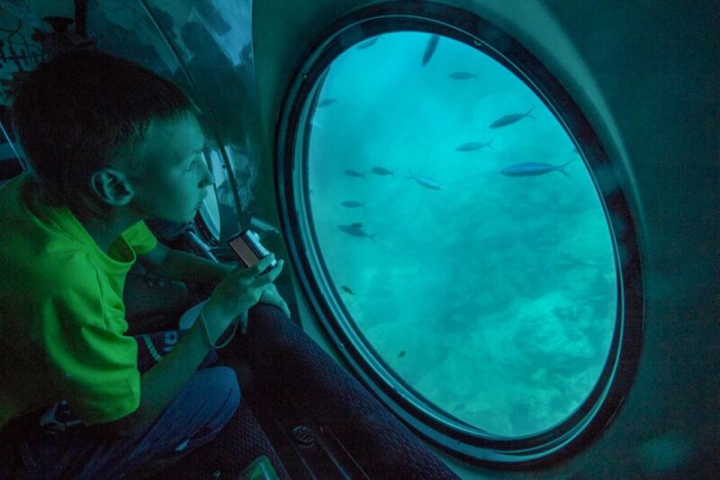 3-Hour Sinbad Submarine Red Sea Tour From Hurghada - Booking Information