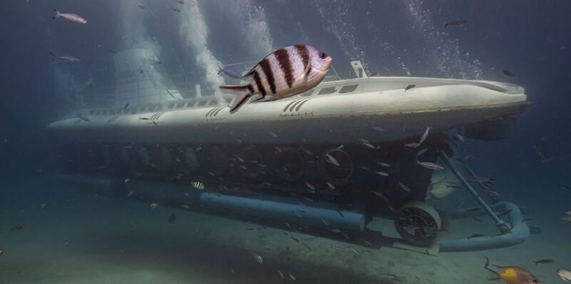 3-Hour Sinbad Submarine Red Sea Tour From Hurghada - Customer Feedback