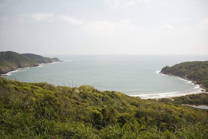 3-hour Small Group Buzios Peninsula Open Air Trolley Tour - Tour Highlights