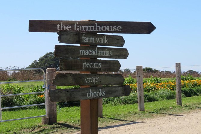 3-Hour Small-Group Byron Bay Tour - What to Expect