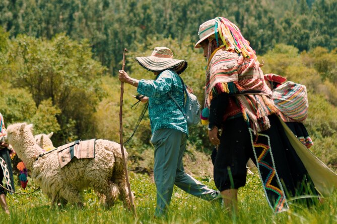 3-Hour Small-Group Hiking With Alpaca in Sacred Valley - Cultural Immersion