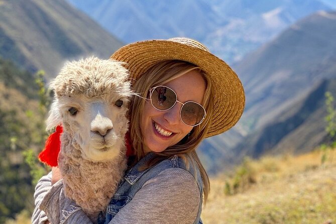 3-Hour Small-Group Hiking With Alpaca in Sacred Valley - Alpaca Bonding Experience