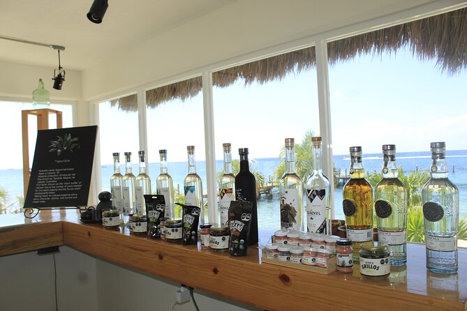3-Hour Small-Group Mezcal and Tequila Tasting Activity From Cozumel - Health and Safety Considerations