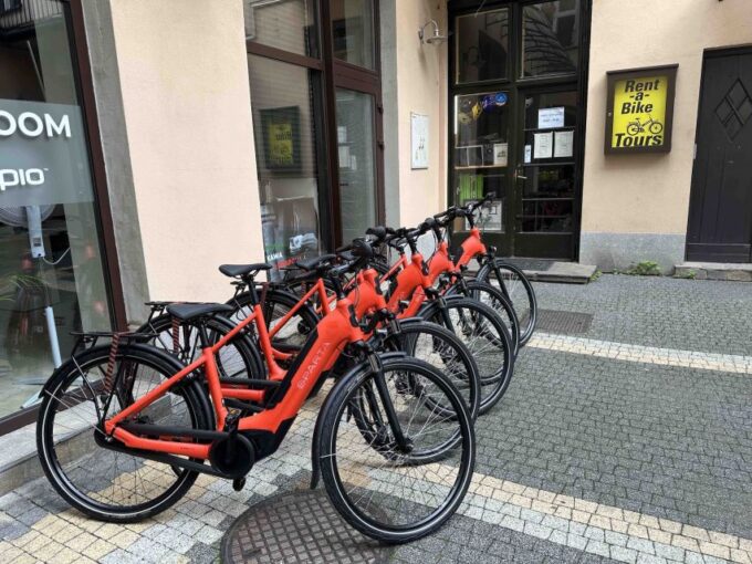 3-Hour Small Group Tour on Bosch E-Bike - New Bikes! - Leisurely Ride Through Parks