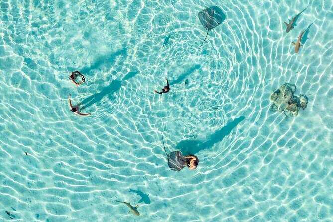 3-Hour Snorkeling Tour - An Honest Look at Moorea’s 3-Hour Snorkeling Tour