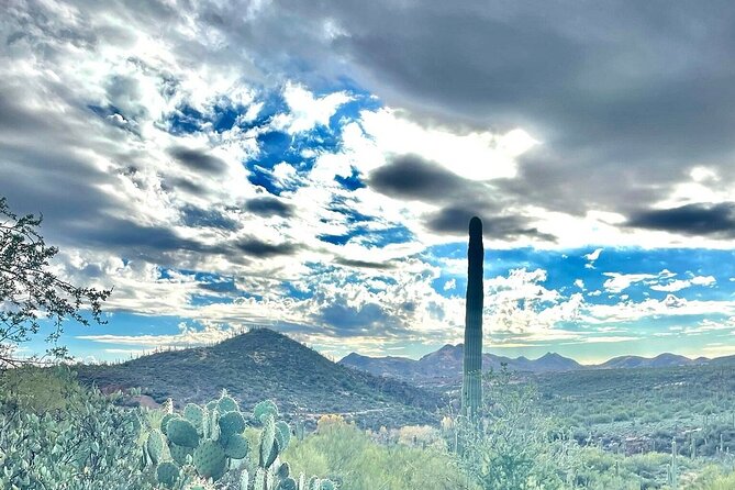 3 Hour Sonoran Desert Private Guided Mountain Bike Tour - Meeting Point and Directions