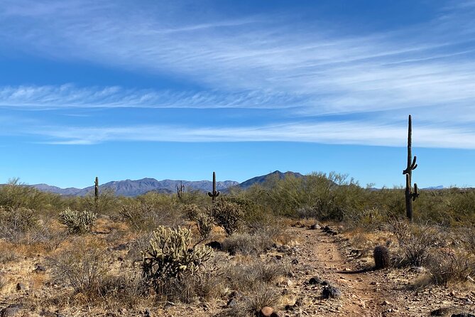 3 Hour Sonoran Desert Private Guided Mountain Bike Tour - Reviews and Ratings