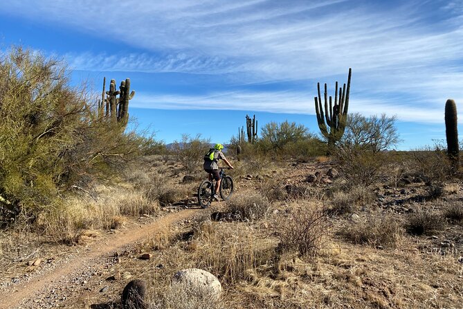 3 Hour Sonoran Desert Private Guided Mountain Bike Tour - What to Bring and Wear