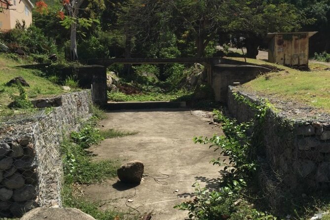 3 Hour St. Kitts Open Air Safari Exotic Tour - Highlights and Attractions