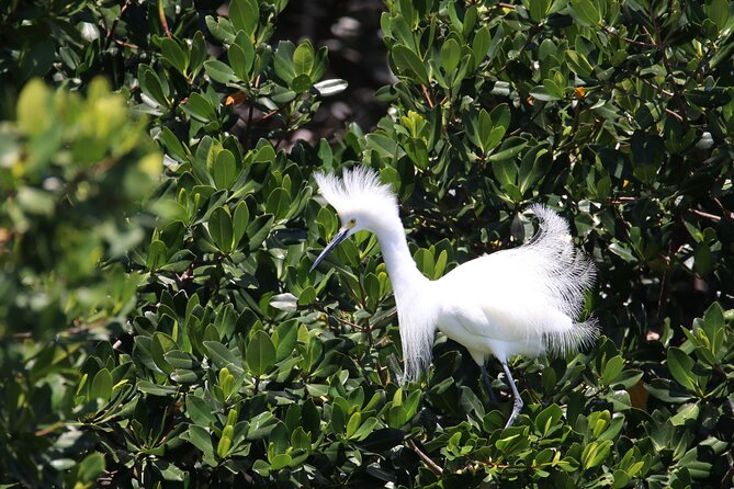 3-Hour St Pete Private Water Adventure Tour for 6 Guests - Participant Suitability
